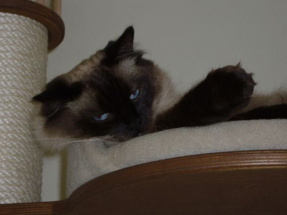 E14 - Ebene mit Kelle und Aufkantung