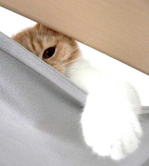 E2 - Hängematte für Katzen